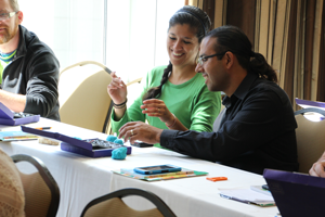 Professional Development